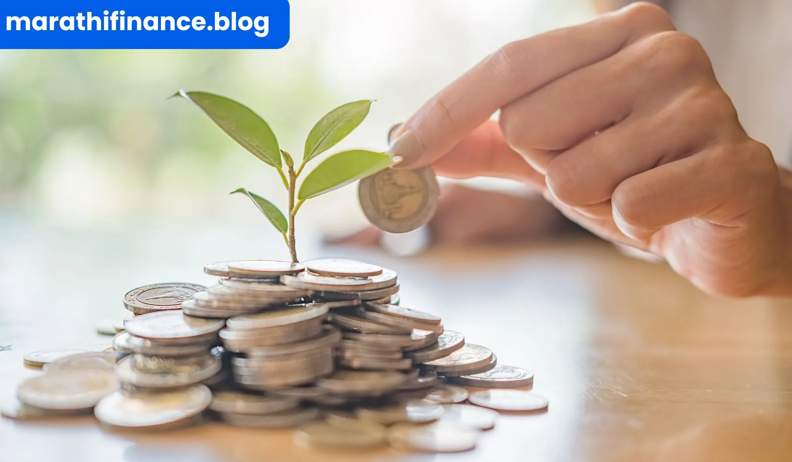 Top 5 Multicap Mutual Funds