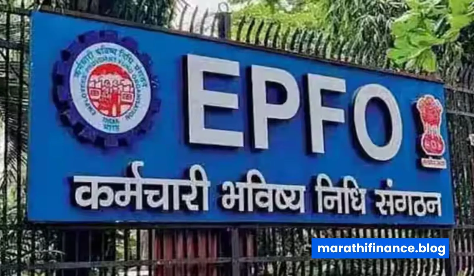 EPFO interest rate News in Marathi